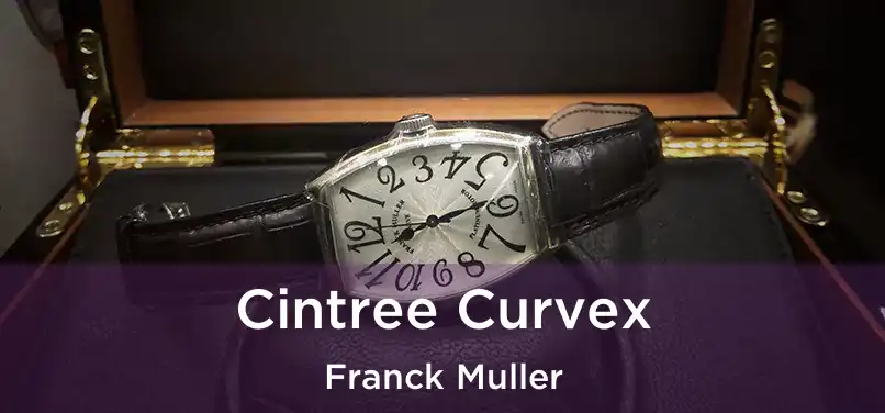  Cintree Curvex Franck Muller
