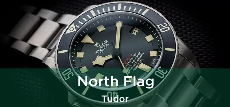  North Flag Tudor